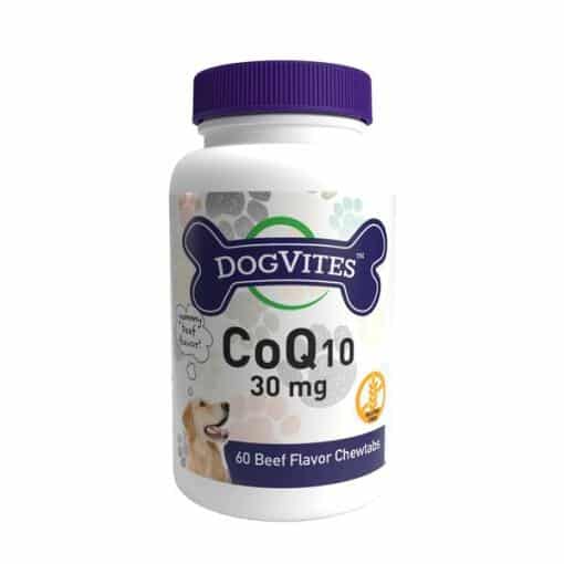 Health Thru Nutrition - CoQ10 For Dogs