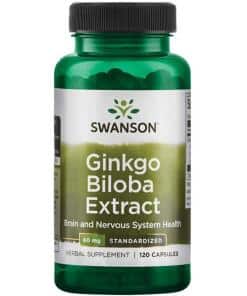 Swanson - Ginkgo Biloba Extract 24%