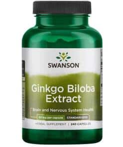 Swanson - Ginkgo Biloba Extract 24%