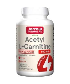 Acetyl L-Carnitine