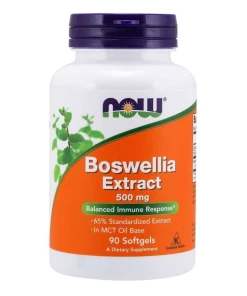 Boswellia Extract 500 mg