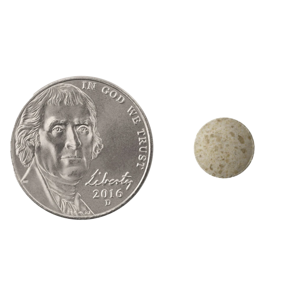 Natrol - Cognium für einen scharfen Verstand, 100 mg - 60 Tabletten – Bild 2