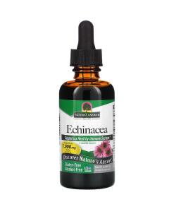 Echinacea Root