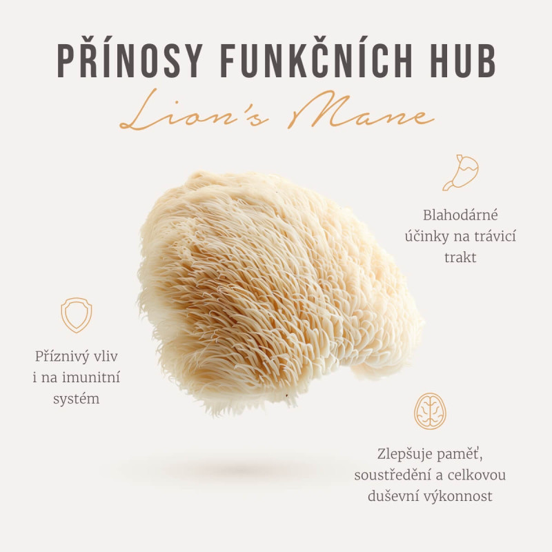 Four Sigmatic - Ganze Kaffeebohnen mit Löwenmähnen-Pilz-Mix – Bild 2