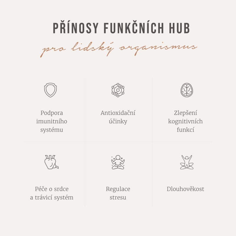 Four Sigmatic - Ganze Kaffeebohnen mit Löwenmähnen-Pilz-Mix – Bild 3