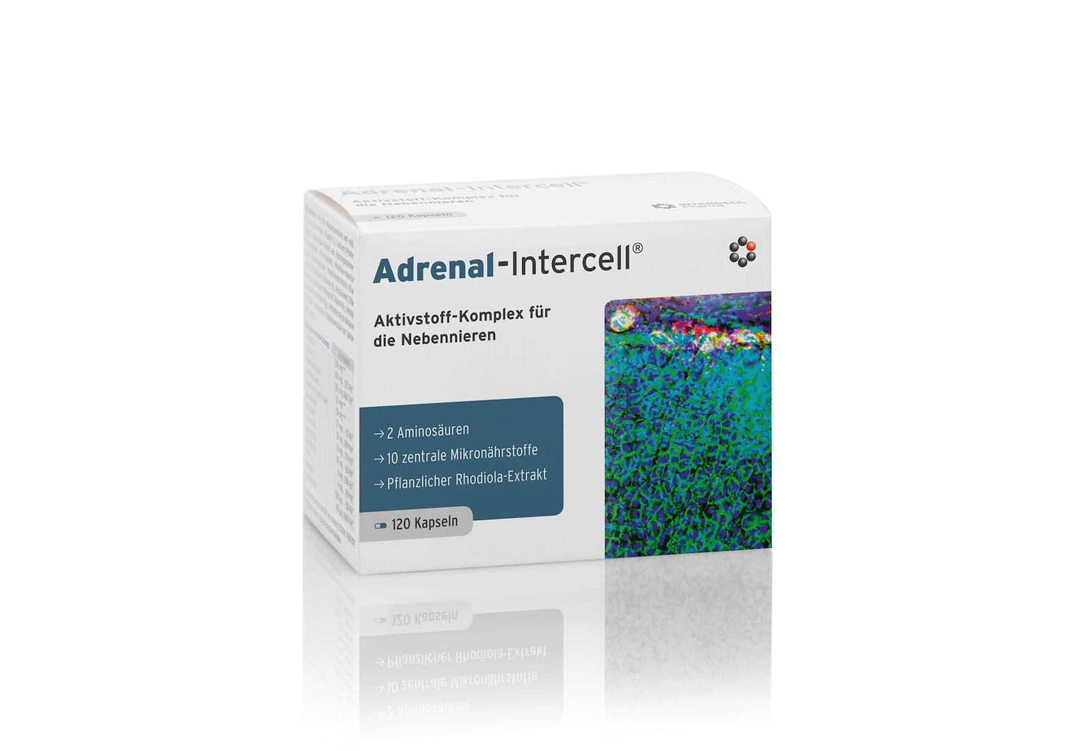 INTERCELL PHARMA Adrenal-Intercell (120 caps)