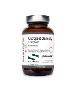 KENAY Milk thistle Siliphos (60 caps)