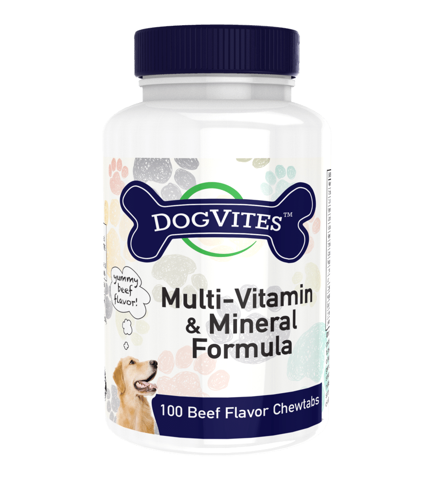 Health Thru Nutrition - Multi-Vitamin- & Mineralien-Formel für Hunde, Rindfleischgeschmack - 100 Kautabletten – Bild 3