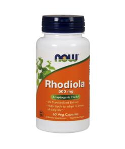 Rhodiola
