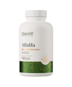 Alfalfa – 90 Kapseln