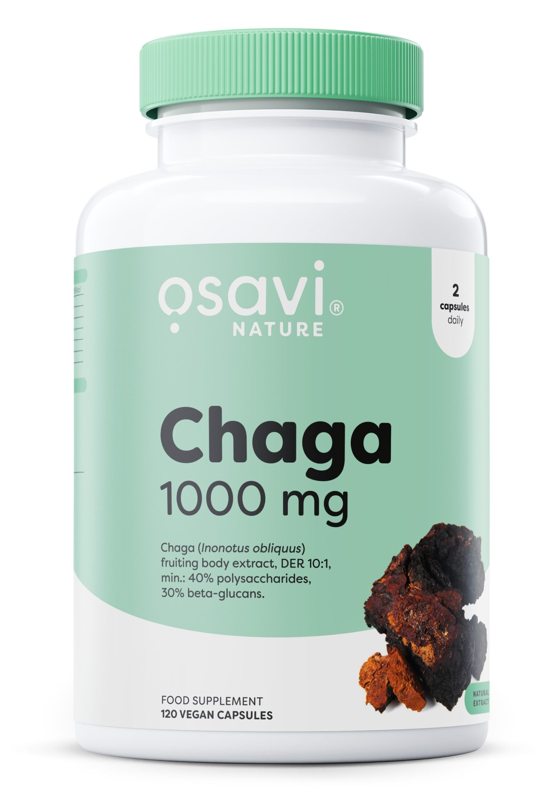 Chaga