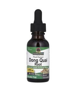 Dong Quai Root