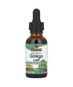 Ginkgo biloba – Ginkgo Leaf