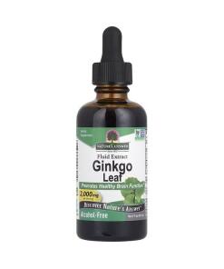 Ginkgo biloba – Ginkgo Leaf