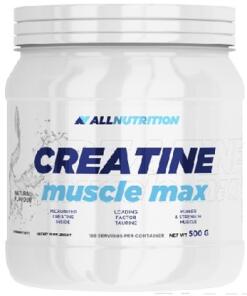 Kreatinmonohydrat – ALLNUTRITION Creatine Muscle Max (500 g