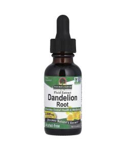 Löwenzahn – Dandelion Root