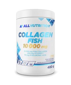 Meereskollagen – Collagen Fish